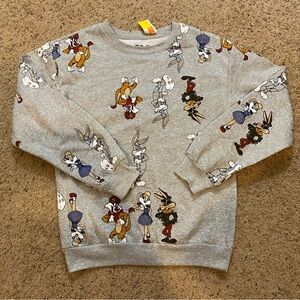 Warner Brother SweatShirt Size XS